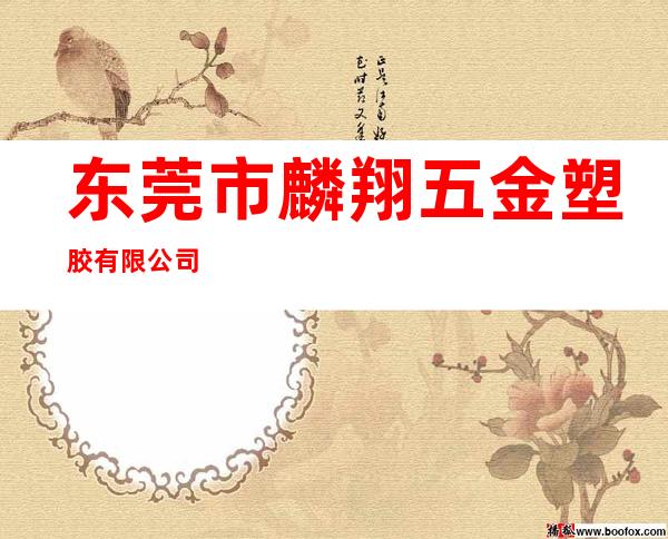 东莞市麟翔五金塑胶有限公司
