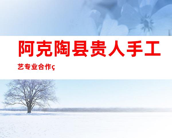 阿克陶县贵人手工艺专业合作社